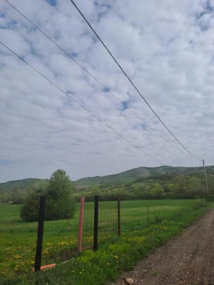Teren de 2900 mp, în Căptălan