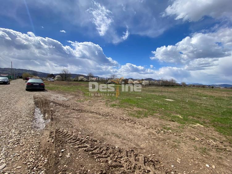 Teren Construcții intravilan de 900 mp, în Dumbrava Roșie