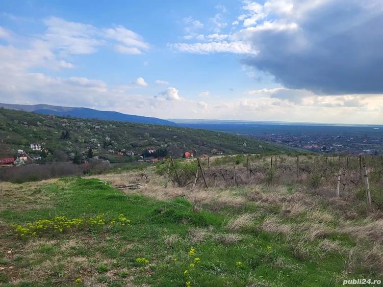 Teren de 3600 mp, în Ghioroc