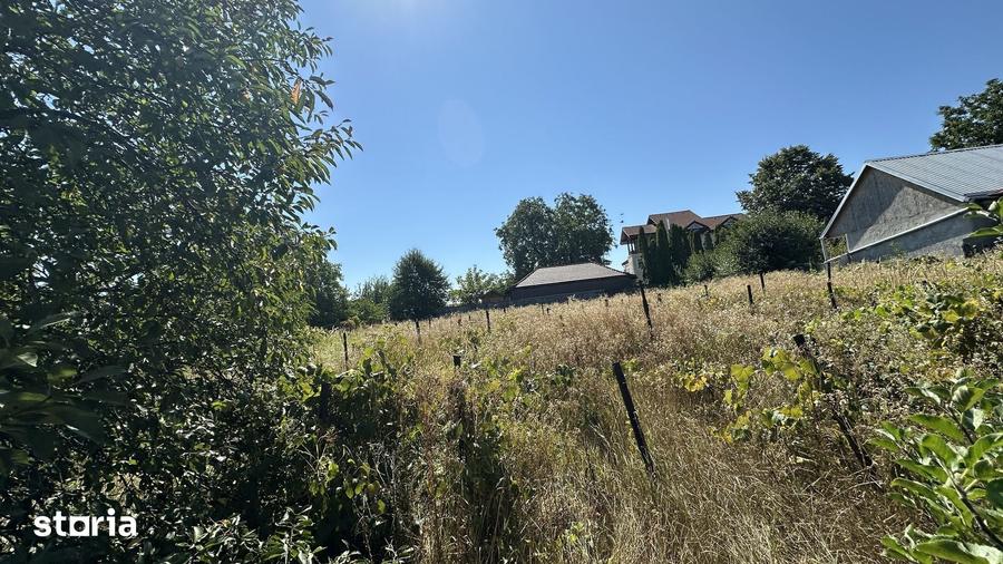 Casă cu 4 camere cu Teren 1524 Mp în Tache