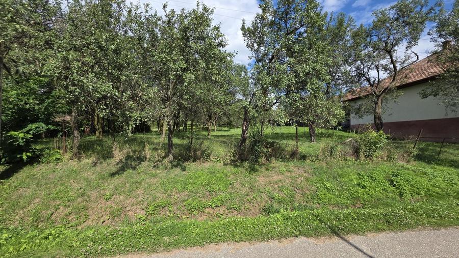 Teren Intravilan Hereclean 3,547 mp - 7