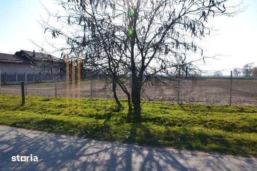 Teren de 5600 mp, în Sălcioara