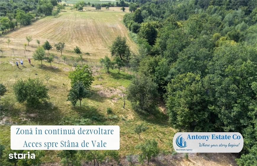Spațiu comercial, de 195 mp, în Budureasa