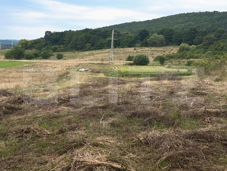 Teren Construcții de 3600 mp, în Podu Oltului
