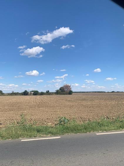 Teren agricol intravilan de 4000 mp, în Dimieni