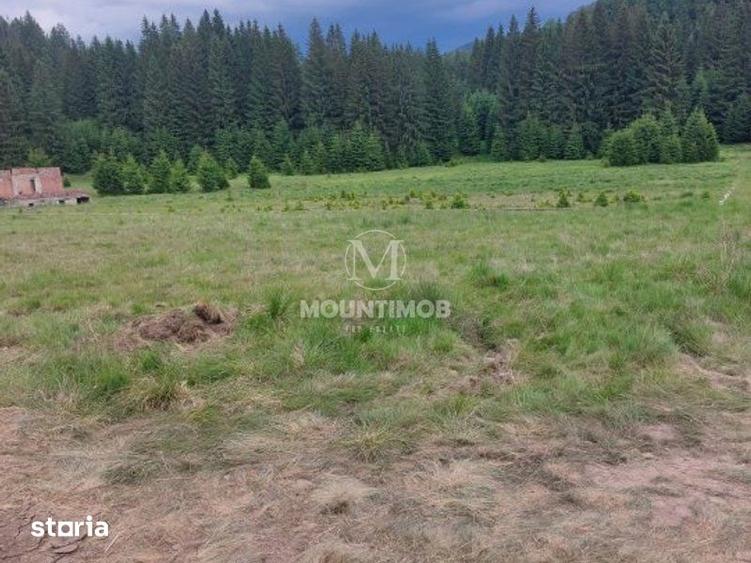 Teren de 4698 mp, în Noua
