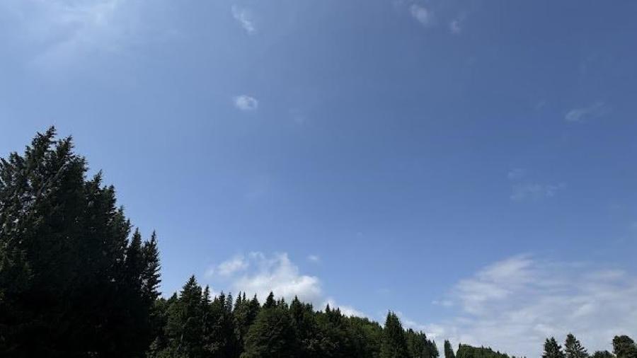 Teren agricol intravilan de 6000 mp, în Nord