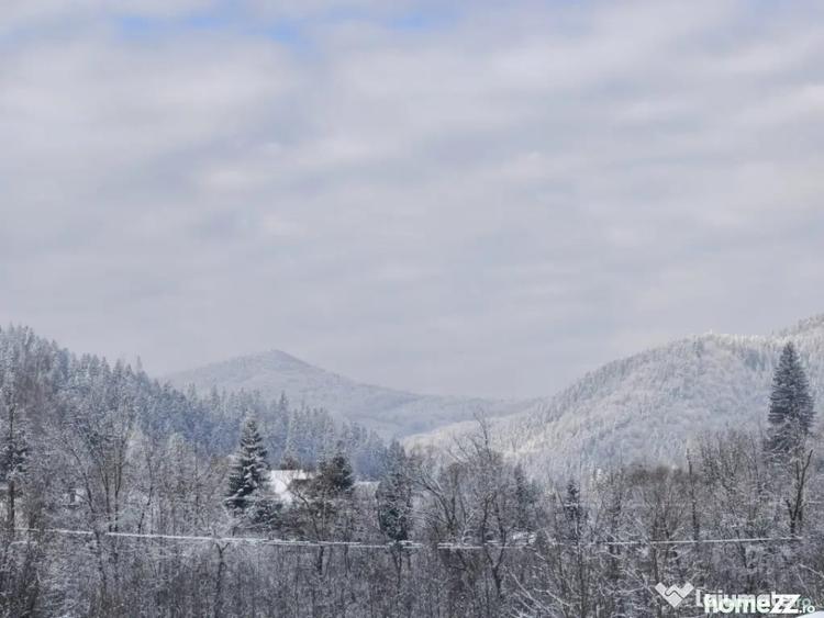 Teren de 22600 mp, în Sucevița