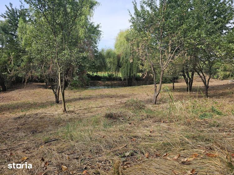 Teren de 1600 mp, în Nicolina