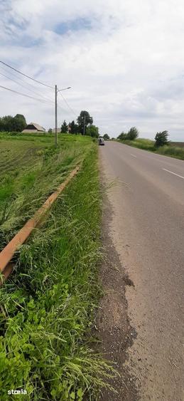 Teren de 13100 mp, în Vornicenii Mici