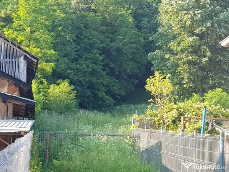 Teren de 7000 mp, în Ștubeie Tisa