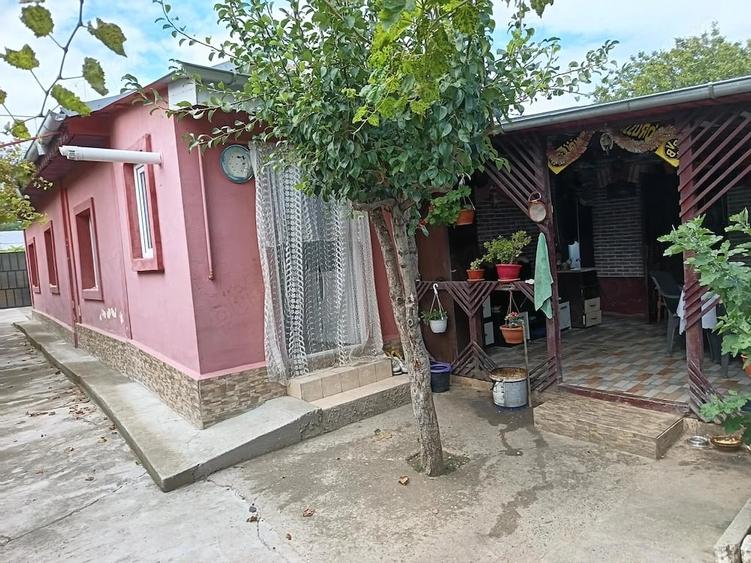 Casă cu 3 camere cu Teren 10000 Mp în Central
