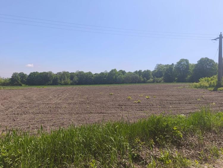 Teren agricol extravilan de 6300 mp, în Gălănești