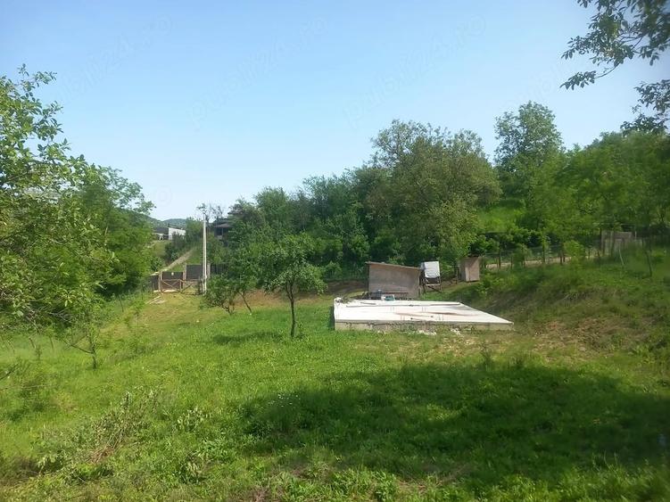 Teren de 2225 mp, în Provița de Jos