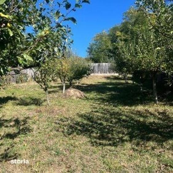 Teren de 1128 mp, în Dârmănești