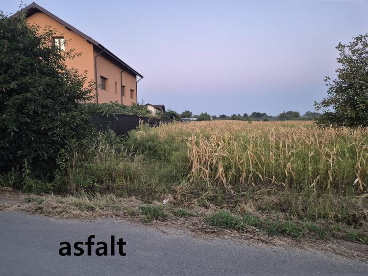 Teren Construcții intravilan de 1750 mp, în Tâncăbești
