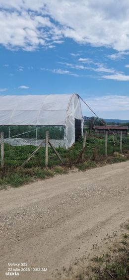 Teren de 2600 mp, în Vețel