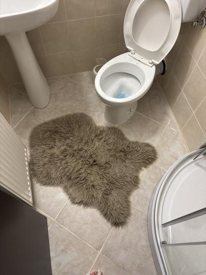 Garsonieră nedecomandată în Sânpetru