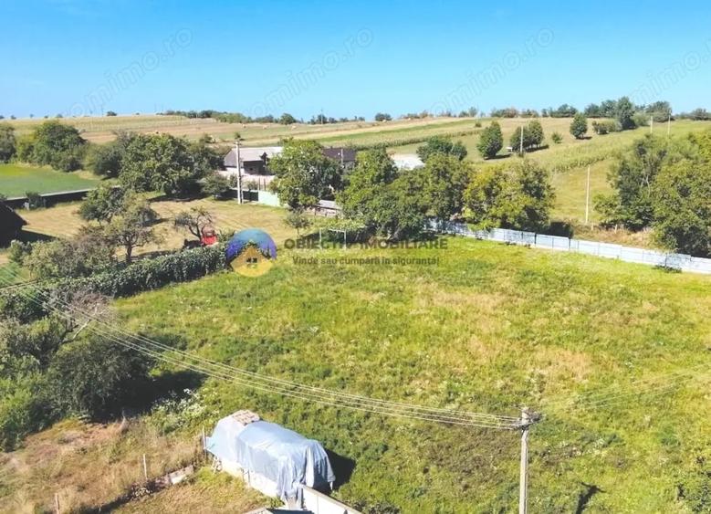 Teren de 3260 mp, în Chintinici