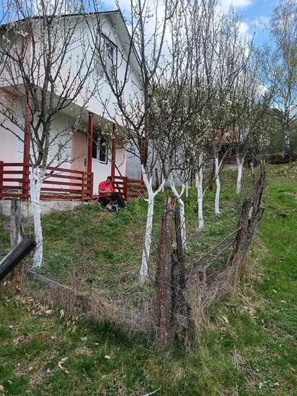Casa de vanzare Ro?ia Montana, Jud.Alba - 2