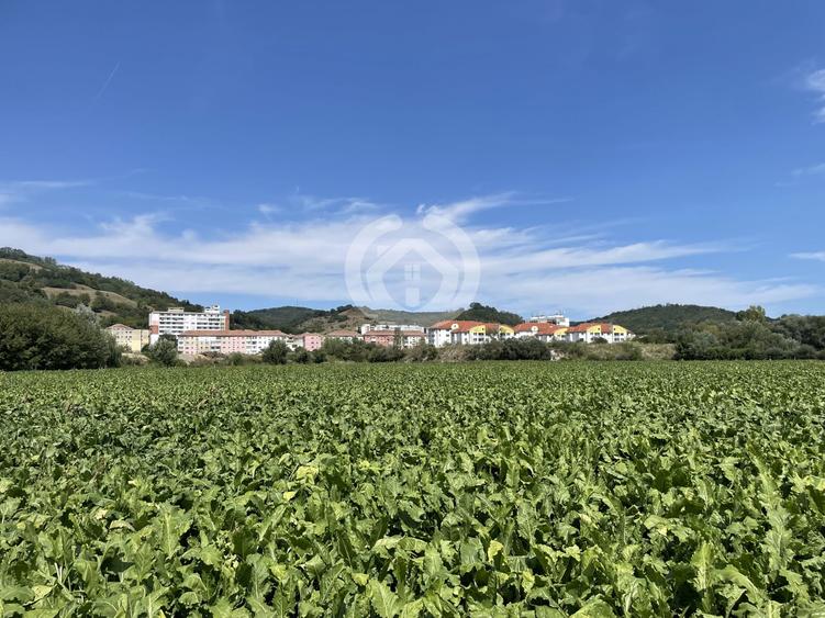 Teren agricol intravilan de 13700 mp, în Mediaș