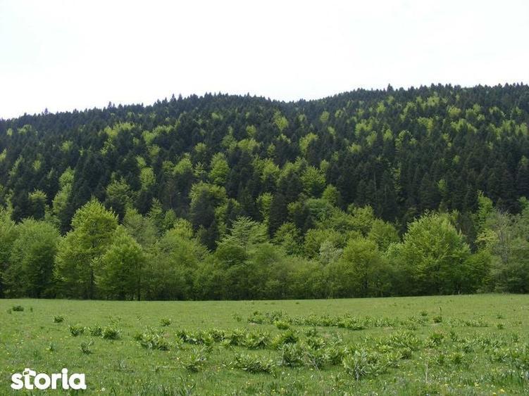 Teren de 11000 mp, în Central