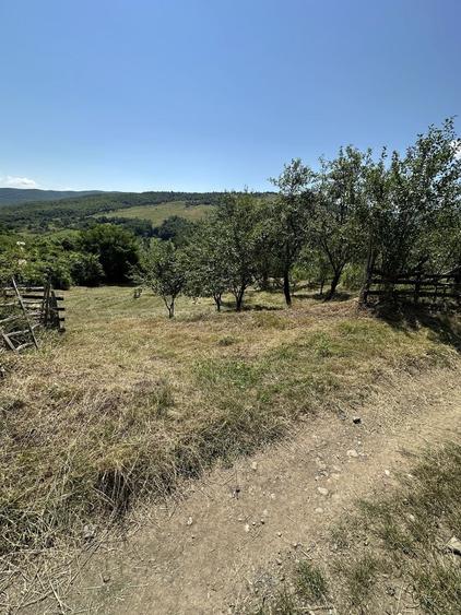 Vand Teren panoramic - 4
