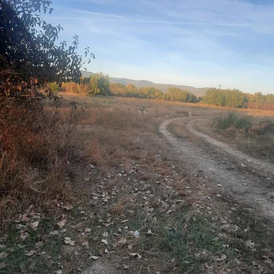 Teren de 7500 mp, în DHS
