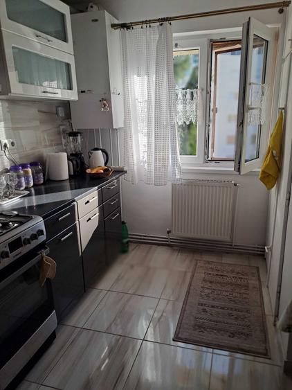 Apartament cu 2 camere decomandat în Sub Arini