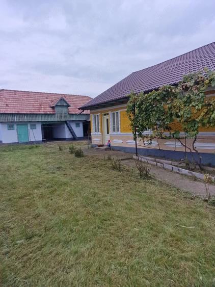 Casă cu 4 camere cu Teren 3000 Mp în Bucșești