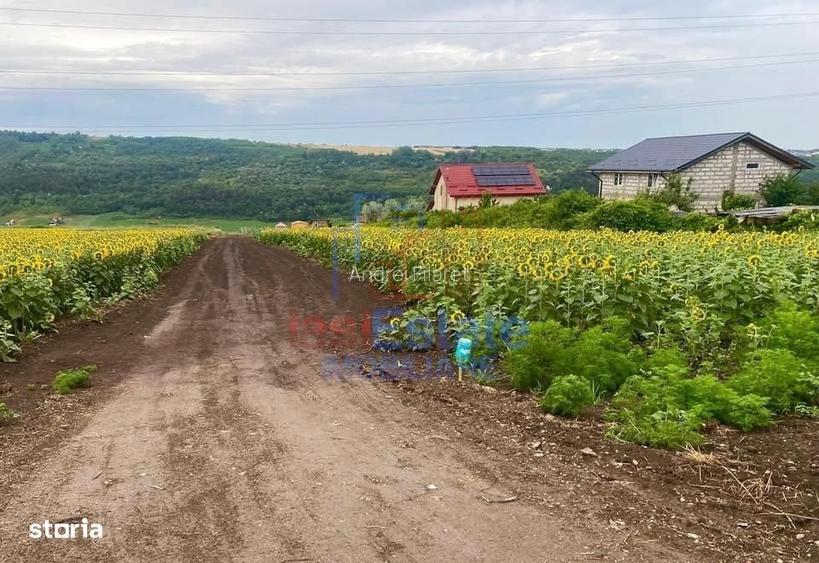 Tere intravilan - Valea Lupului