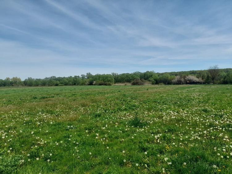 Teren Construcții intravilan de 5000 mp, în Exterior Vest