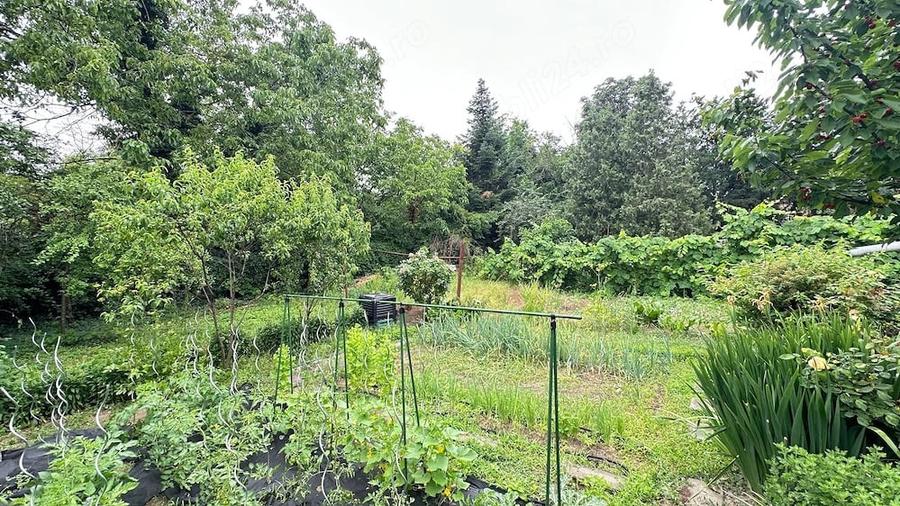 Casă cu 3 camere cu Teren 500 Mp în Odobescu