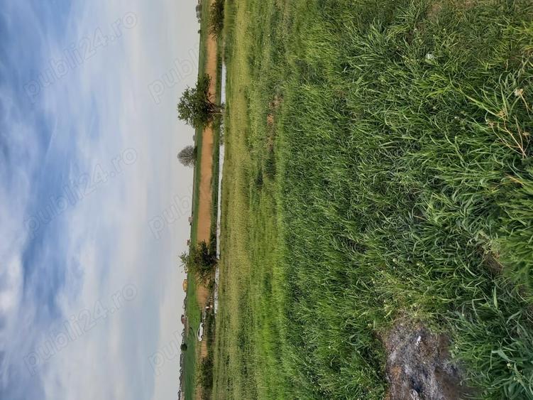 Vand 2loturi de 500m2 la ie?irea din Berceni langa lac - 3