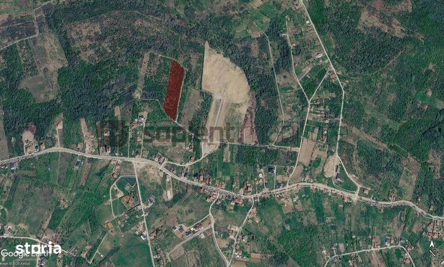 Teren de 4316 mp, în Sântandrei