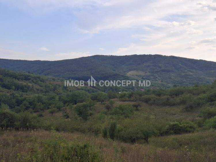 Teren agricol extravilan de 16189 mp, în Șoimari