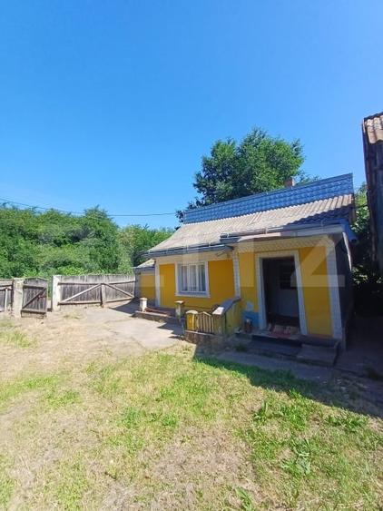 Casă de vânzare cu anexe, 174 mp, 22 ari teren, Grigoresti - 11
