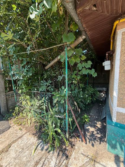 Casă individuală cu 2 camere cu Canalizare în Colentina