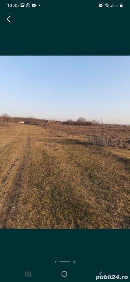 Teren de 8000 mp, în Central