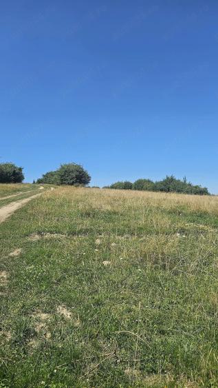 Teren de 2200 mp, în Tohănița