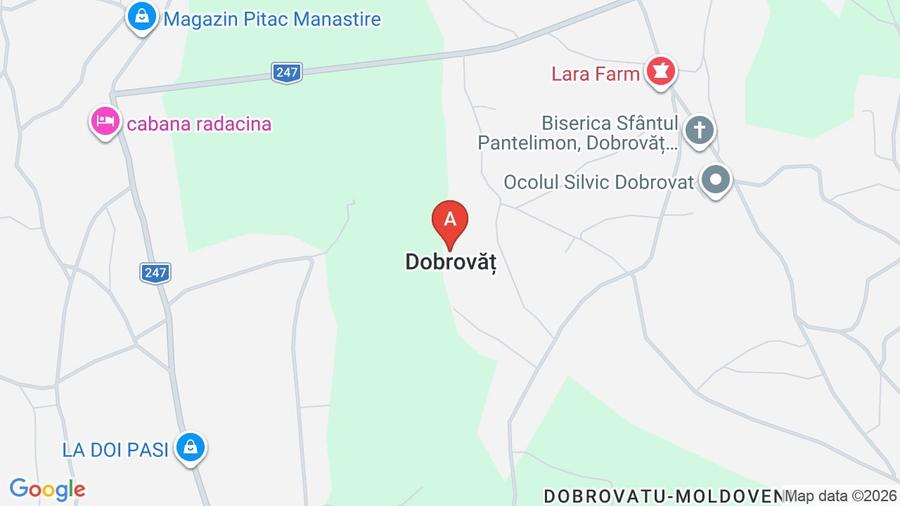 Teren Construcții intravilan de 2400 mp, în Dobrovăț