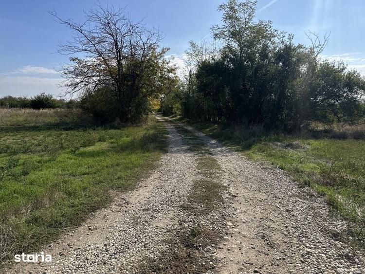 Teren de 3700 mp, în Rătești