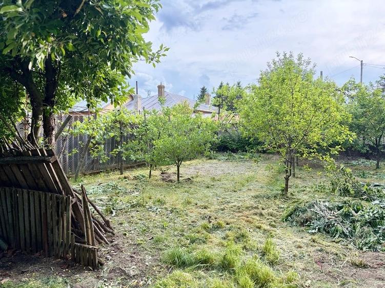 Casă cu 3 camere cu Teren 501 Mp în Pasărea