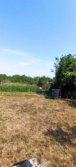 Casă cu 1 camere cu Teren 962 Mp în Chișirid