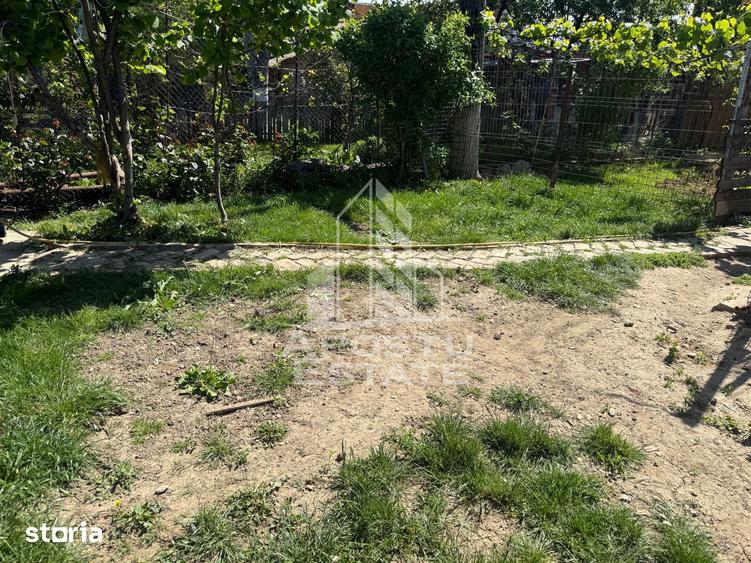 Casă cu 7 camere cu Teren 360 Mp în Buziașului