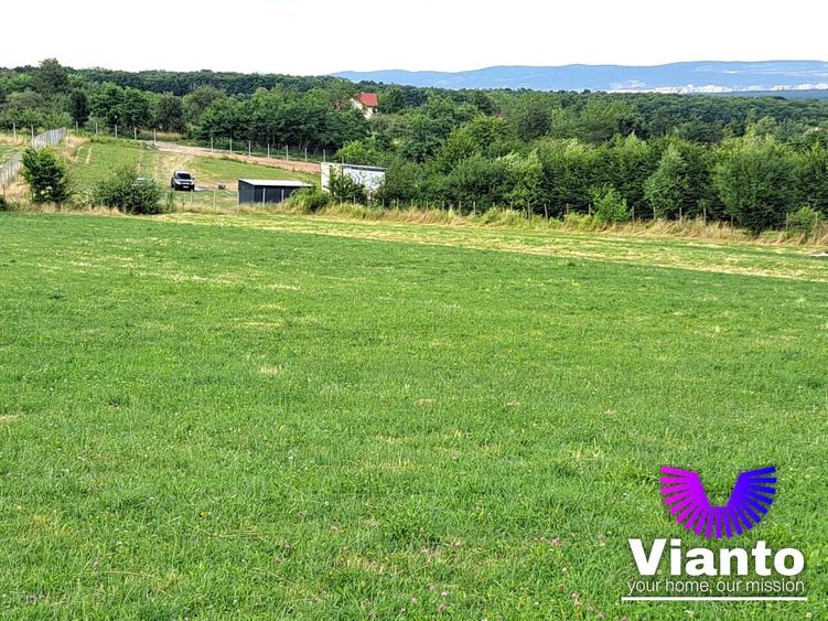 Teren agricol extravilan de 6200 mp, în Rășinari