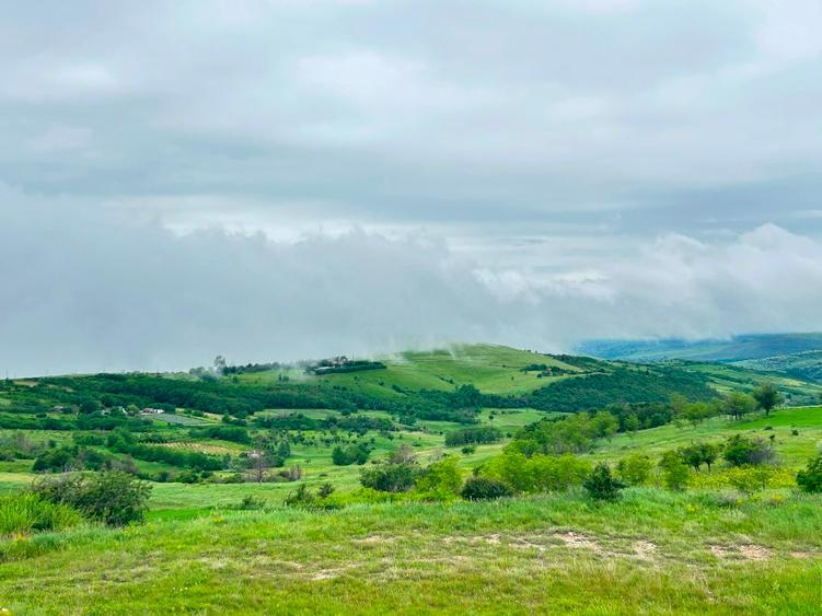 Teren agricol extravilan de 3600 mp, în Jugureni