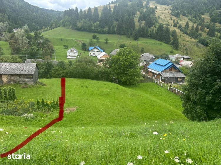 Teren intravilan de vanzare, 5000 m - 7