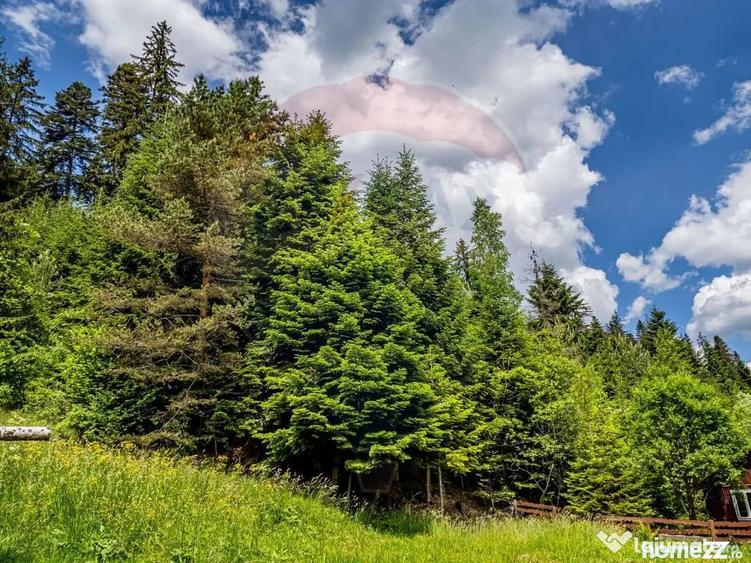 Casă cu 20 camere cu Teren 10330 Mp în Câmpulung Moldovenesc