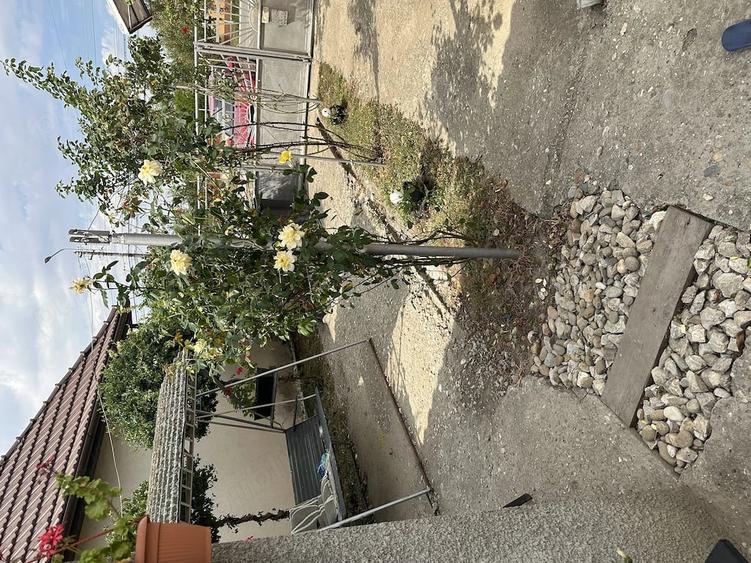 Casă cu 3 camere cu Teren 1400 Mp în Central